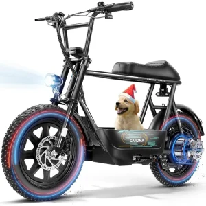 Electric Scooter with Seat 800W–1200W All-Terrain 20MPH